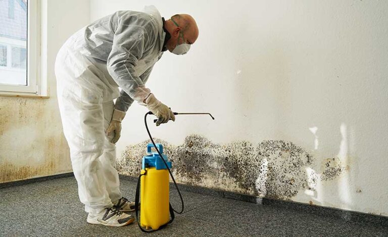 Technician in protective suit treating mold on a wall