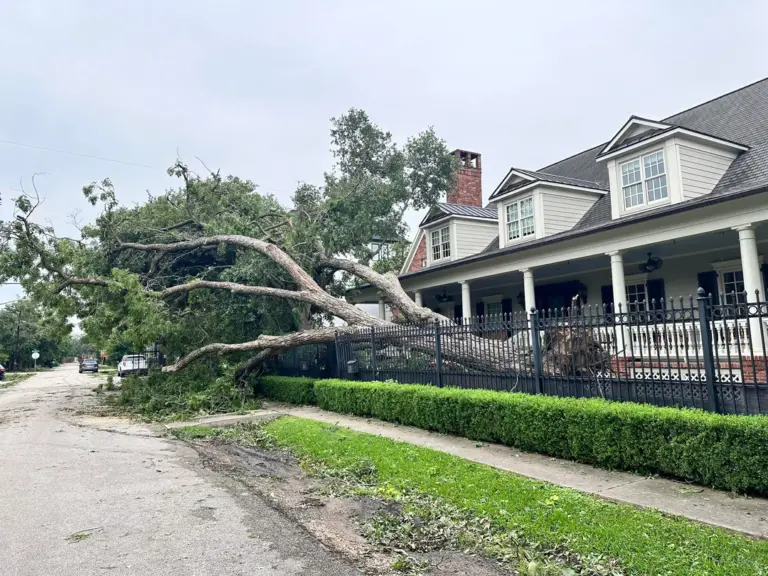 Large tree fallen on a house after a storm